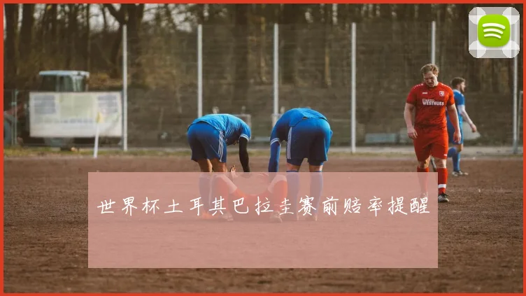 世界杯土耳其巴拉圭赛前赔率提醒