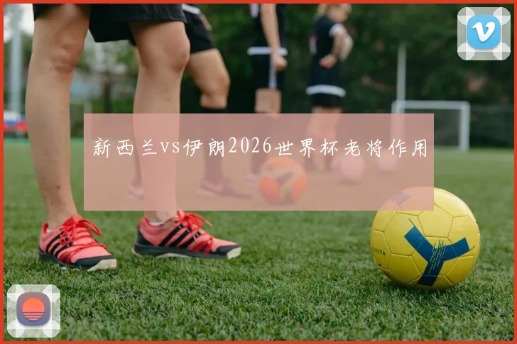 新西兰vs伊朗2026世界杯老将作用