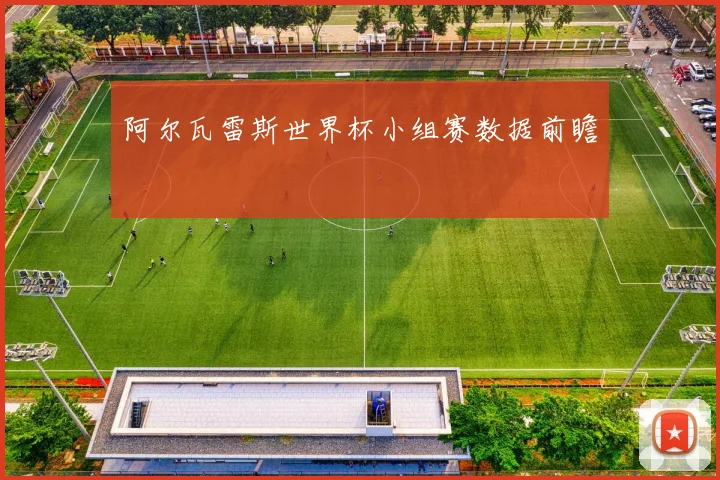 阿尔瓦雷斯世界杯小组赛数据前瞻