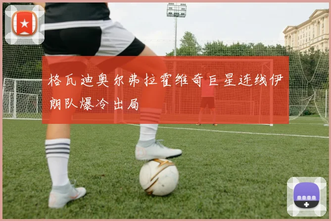 格瓦迪奥尔弗拉霍维奇巨星连线伊朗队爆冷出局