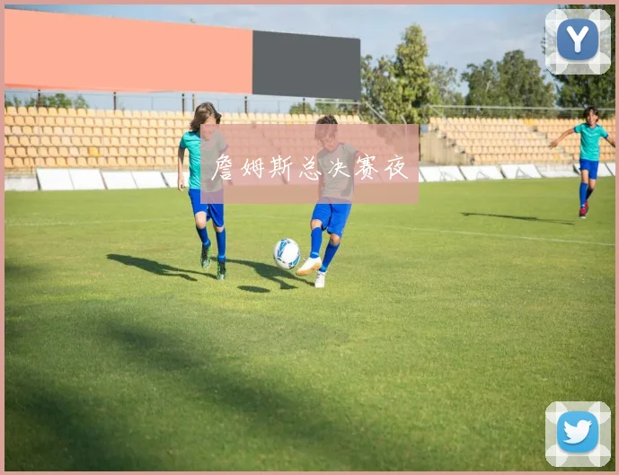 詹姆斯总决赛夜