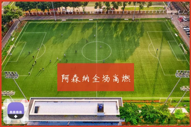 阿森纳全场高燃