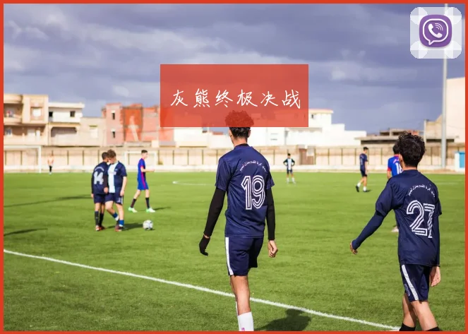 灰熊终极决战
