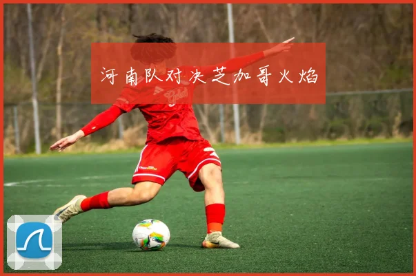 河南队对决芝加哥火焰