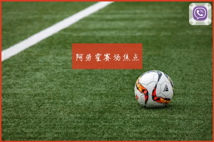 阿劳霍赛场焦点