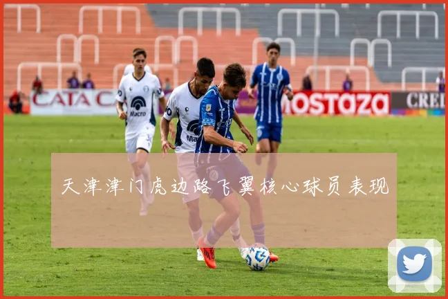 天津津门虎边路飞翼核心球员表现