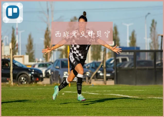 西班牙交锋贝宁