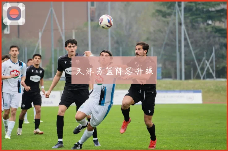 天津男篮阵容升级