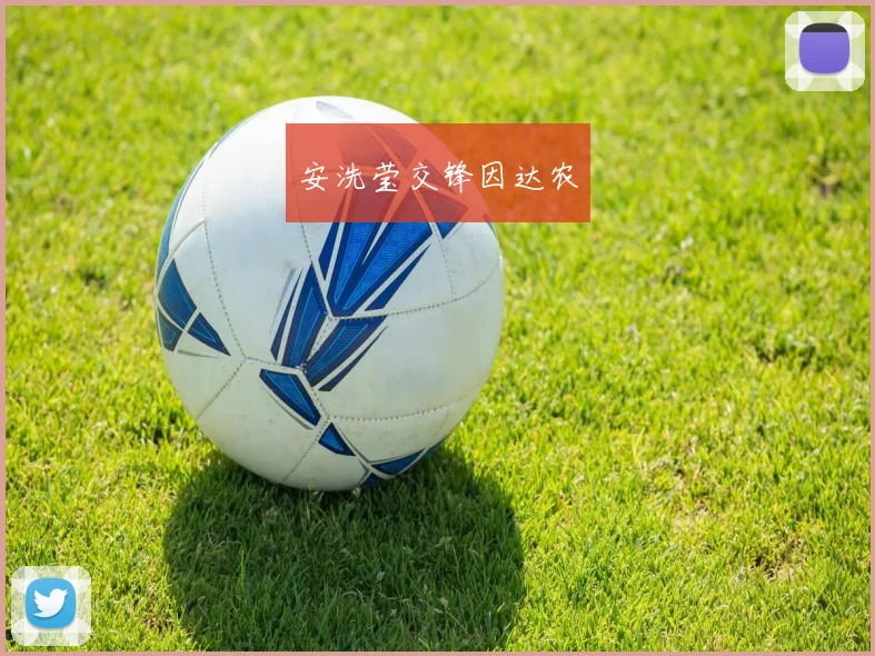 安洗莹交锋因达农
