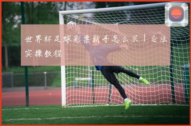 世界杯足球彩票新手怎么买｜合法实操教程