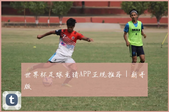世界杯足球竞猜APP正规推荐｜新手版