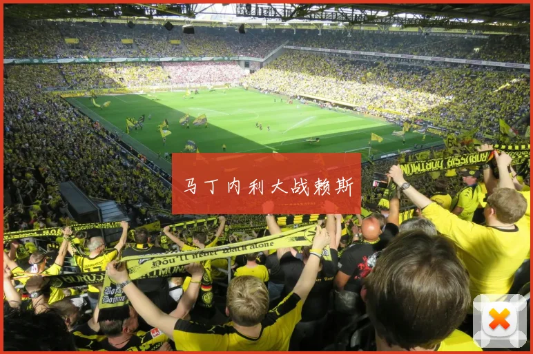 马丁内利大战赖斯