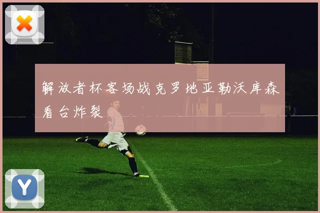 解放者杯客场战克罗地亚勒沃库森看台炸裂
