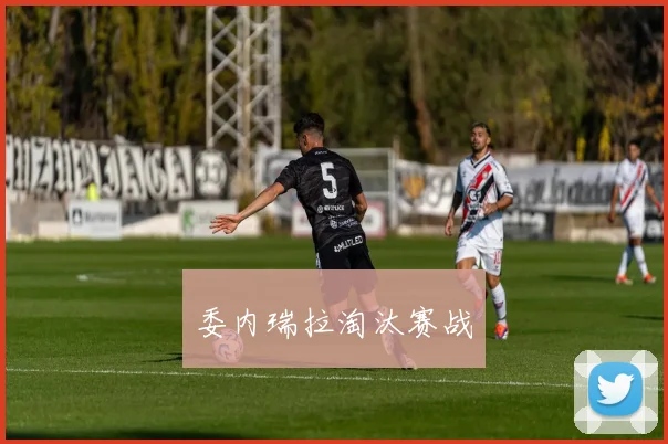 委内瑞拉淘汰赛战