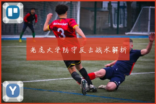 老虎大学防守反击战术解析