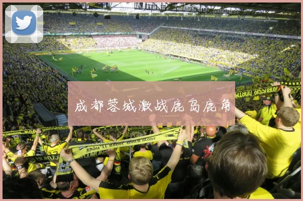 成都蓉城激战鹿岛鹿角