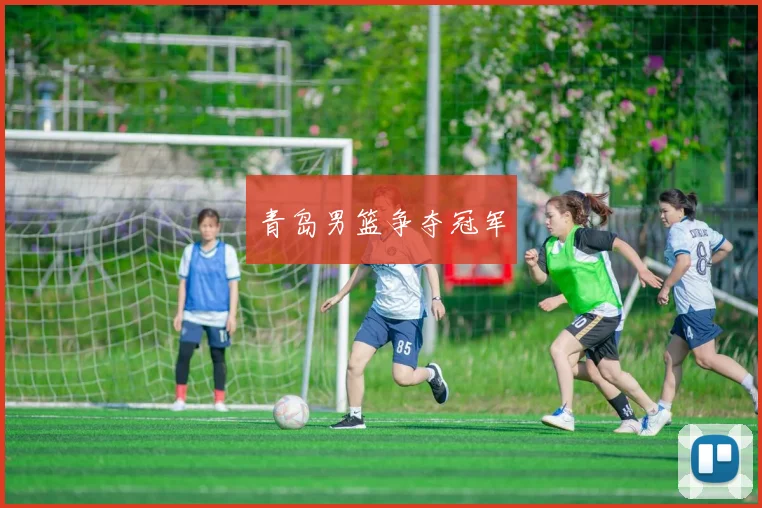 青岛男篮争夺冠军