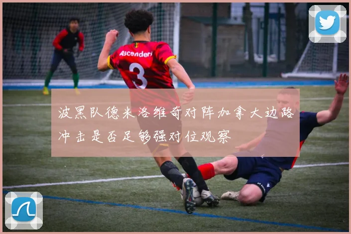 波黑队德米洛维奇对阵加拿大边路冲击是否足够强对位观察