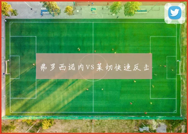 弗罗西诺内vs莱切快速反击